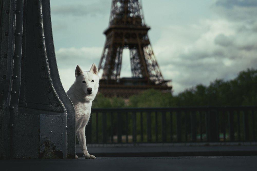 recomment-pack-image-1