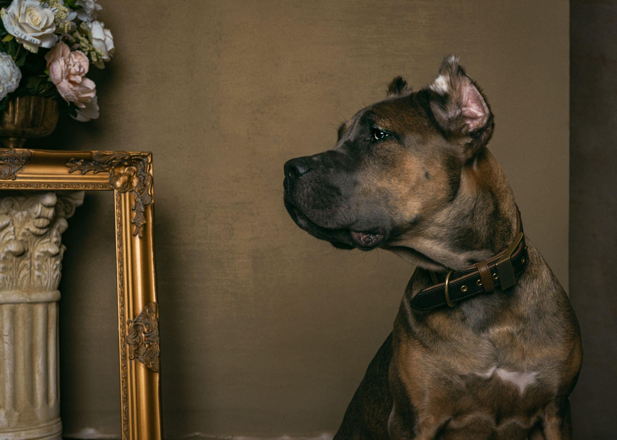 carousel-hero-element image-4