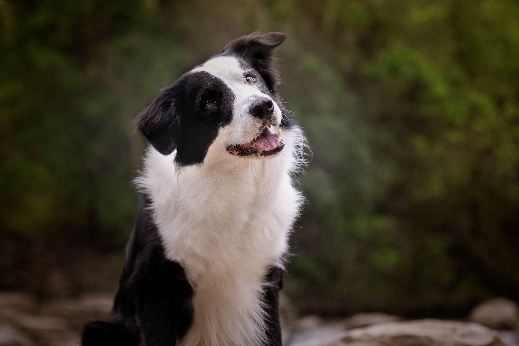 carousel-hero-element image-2