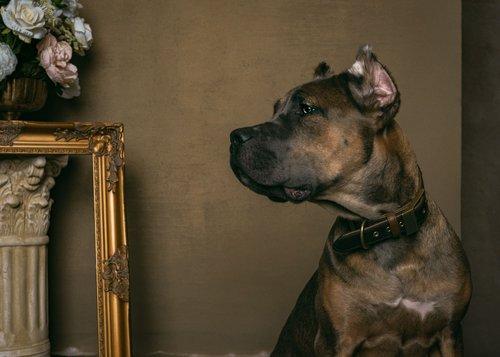 mobile - carousel-hero-element image-4