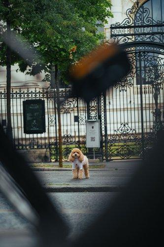 mobile - carousel-hero-element image-2