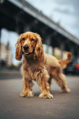 mobile - carousel-hero-element image-3