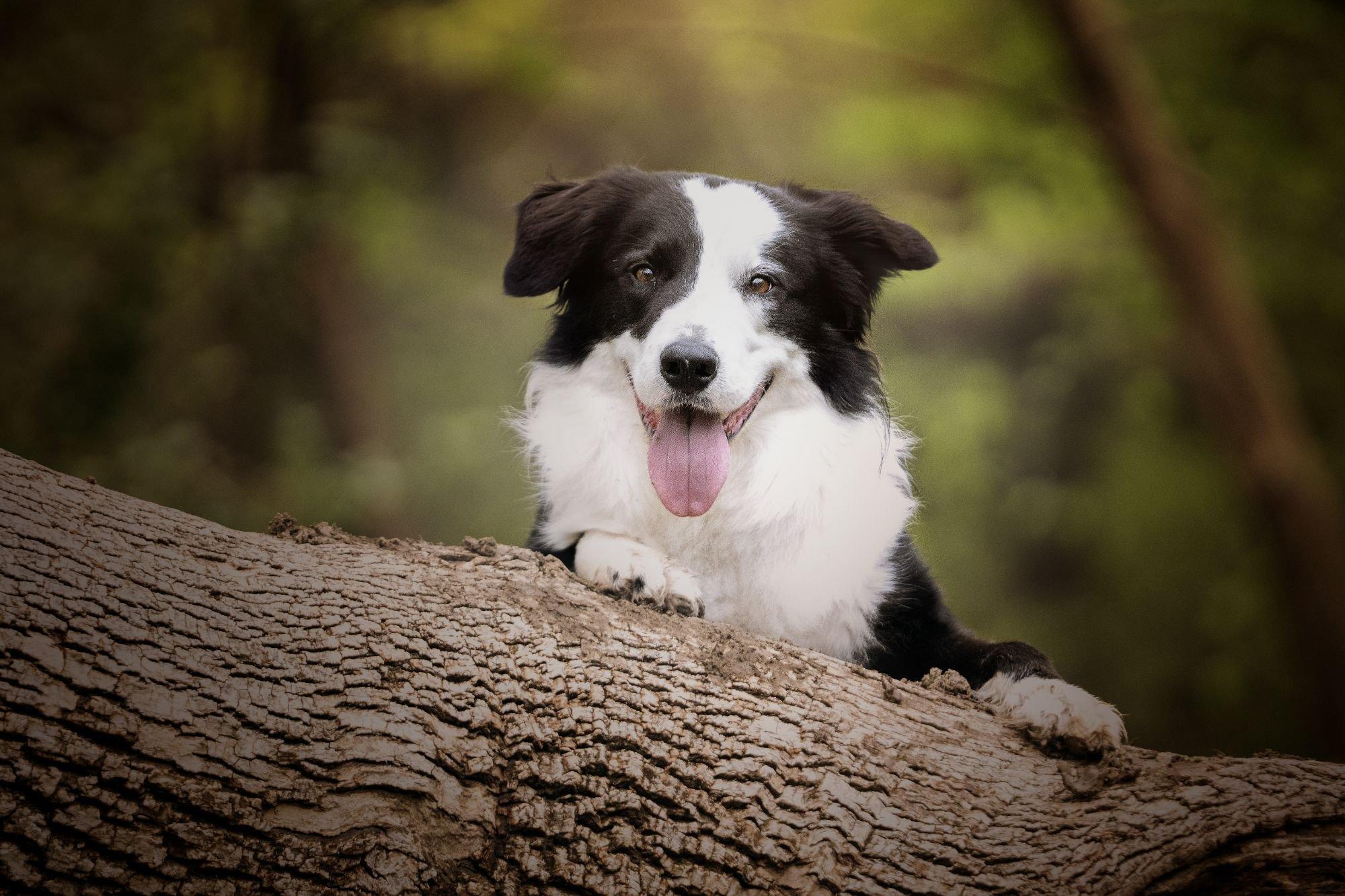 carousel-hero-element image-3