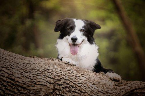 mobile - carousel-hero-element image-3