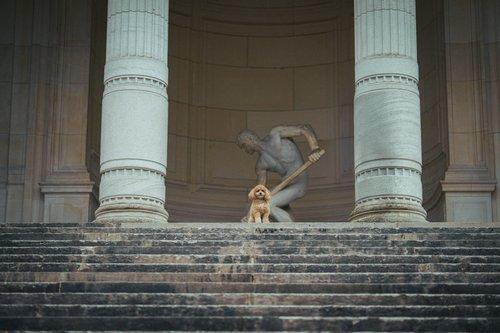 mobile - carousel-hero-element image-4