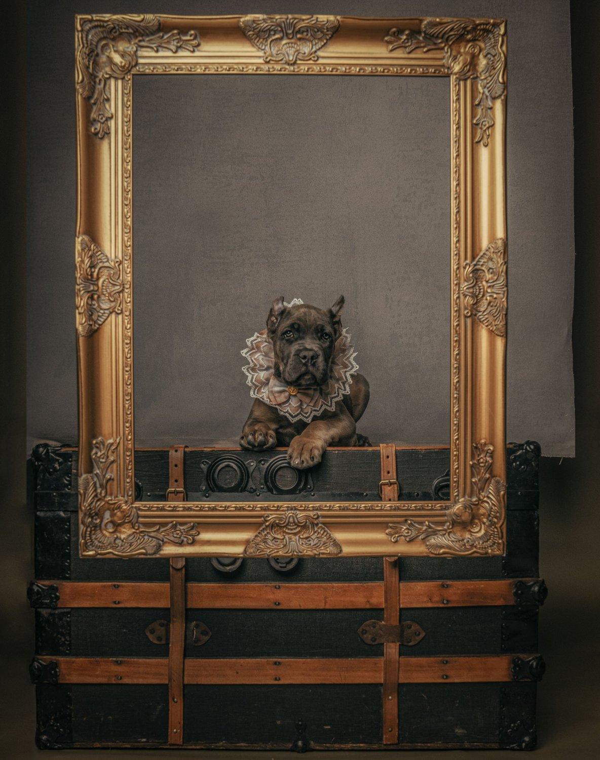 carousel-hero-element image-3